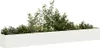 A white planter box filled with various green plants. Voir les images du produit