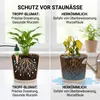 Blumat Tropf-Blumat Automatische Bewässerung | für 3 Produktbild-Vorschau 3