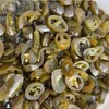 Haynes Gourmet Candied Jalapeno Green Rings – Süß & Scharf Produktbild-Vorschau 6
