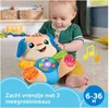 Fisher-Price Laugh & Learn JFD20, Pies zabawka, 0,5 lat(a), Podgląd zdjęcia produktu 14