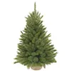 Triumph Tree Forest Frosted Arbre de Noël artificiel dans Voir les images du produit 1