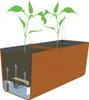 Diagram showing a self-watering planter box with plants and water circulation. Náhled obrázku produktu