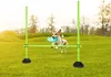 ACXIN Agility Sprungstangen Set Trainingsstangen für Produktbild-Vorschau 6