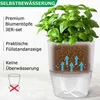 Kräutertopf mit Selbstbewässerung, 3er Set, Blumentöpfe, Produktbild-Vorschau 3