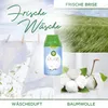 Air Wick Freshmatic Max – Nachfüller Set – Automatisches Produktbild-Vorschau 7