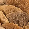 Baumschwamm Deko-Kranz für Tür- und Wandgestaltung Produktbild-Vorschau 5