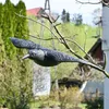 Veľký odpudzovač vtákov od vrán, holubov a špačkov pre Náhľad obrázku produktu 2