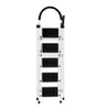 A folded step ladder with five steps, shown against a white background. Voir les images du produit