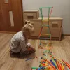 Kreatywny zestaw do budowania ze słomek i łączników, 408 Podgląd zdjęcia produktu 16