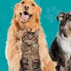 Brosse à cheveux pour chiens et chats Brosse pour chiens Voir les images du produit 7