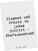 Mr. & Mrs. Panda Postkarte Spruch Eleganter Pharaonenhund - Produktbild-Vorschau 1