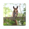 MuchoWow® Mauspad Mousepad Pferd - Natur - Zaun 20x20 cm - Produktbild-Vorschau 1
