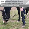 Führkette für Pferde  Eisenkette & Nylon Handgriff, Produktbild-Vorschau 2