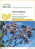 SAFLAX  - Arbre impérial - 200 graines - Paulownia Voir les images du produit 1
