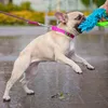 Dingo Bungee-Hundespielzeug Mopp-Chaser Beißspielzeug Blau Produktbild-Vorschau 12