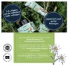 Murmelin Sport- und Gelenkssalbe 100ml Produktbild-Vorschau 2