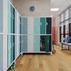 A row of colorful lockers in a hallway. Anteprima dell’immagine prodotto