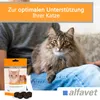 Alfavet FeliGum Hairball 40 g | Kaudrops für Katzen | Produktbild-Vorschau 4