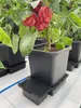 AutoPot 3Pot System mit 15 Liter Pflanztopf Produktbild-Vorschau 4