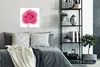MuchoWow® Poster Nahaufnahme einer einzelnen rosa Rose auf Produktbild-Vorschau 5
