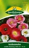 Quedlinburger Saatgut - Seiden-Mohn Gefüllte Mischung - Produktbild-Vorschau 1