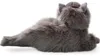 Carl Dick kot perski szary ok. 30cm 3433 przytulanka, Podgląd zdjęcia produktu 9