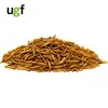 A pile of dried mealworms on a white background with a logo in the top left corner. Produktbild-Vorschau