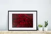 MuchoWow® Gerahmtes Poster Blumen - Rosen - Rot 60x40 cm - Produktbild-Vorschau 4