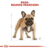 Royal Canin Francúzsky buldoček dospelý 9kg Náhľad obrázku produktu 5