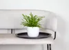 Bloomique - Nephrolepis Duffi - Schwertfarn - Produktbild-Vorschau 2