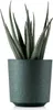 HowHomely | Pflanzkübel Aloe Texelle - 19,5 cm - Grüner Produktbild-Vorschau 1