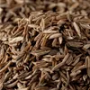 Kreuzkümmel, ganz, Cumin, Kreuzkümmelsamen zum Kochen, 3 x Produktbild-Vorschau 4