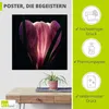 ARTland Poster Beleuchtet Größe: 70x70 cm Produktbild-Vorschau 2