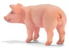 Schleich 13289 Ferkel, stehend Produktbild-Vorschau 1