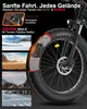 26 * 4.0 pouces Fatbike, City E Bike 250W 70Nm vélo Voir les images du produit 9