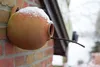 Nid pour oiseaux bouteille ronde Voir les images du produit 6