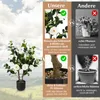 COSTWAY Arbre artificiel 2 avec 24 fleurs, camélia Voir les images du produit 6