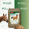 PANTO Apfelmüsli mit Wisan®-Lein – 15 kg Pferdemüsli mit Produktbild-Vorschau 2