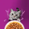WHISKAS Nassfutter für Katzen, Aromabeutel, Produktbild-Vorschau 5