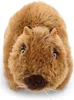 NICI Capybara, Hračka kapybara Náhľad obrázku produktu 3