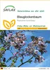 SAFLAX - Blauglockenbaum - Paulownia tomentosa - 200 Samen Produktbild-Vorschau 1