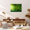 Bild auf Leinwand - Leinwandbild - Bambus Pflanze - 70x50cm Produktbild-Vorschau 7