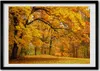 Bild - Bilder - Bilderrahmen - 70 cm x 50 cm - MDF-Rahmen, Produktbild-Vorschau 1