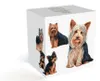 PETS Becher Yorkshire Terrier Hund, Bone China Porzellan, Produktbild-Vorschau 5