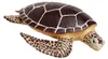 Safari Ltd Sea Turtle Brown One Size Produktbild-Vorschau 1