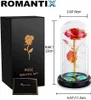 ROMANTIX Wieczna złota róża w szkle Miłosny prezent Podgląd zdjęcia produktu 6