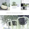 Collage of plant pots with plants, and hanging planters with trailing plants. Anteprima dell’immagine prodotto