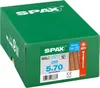 SPAX® 0537000500705 SPAX® Terrassenschrauben T25 Anteprima dell’immagine prodotto 10