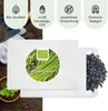 Semi di erba cipollina biologica - semi di erbe da cucina Anteprima dell’immagine prodotto 4