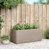 vidaXL Fioriera marrone chiaro 80x36x35 cm PP Anteprima dell’immagine prodotto 3